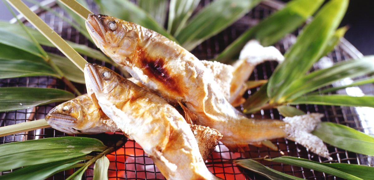 画像：春夏の料理 鮎
