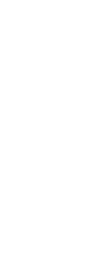 春夏 旬の味覚天然鮎