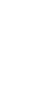 秋冬 旬の味覚野鴨