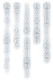 織田信長ゆかりの岐阜城や岐阜の夏の風物詩1300年続く長良川の鵜飼など歴史ロマンあふれる観光スポットが盛りだくさん！