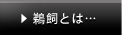 鵜飼とは