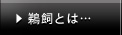 鵜飼とは